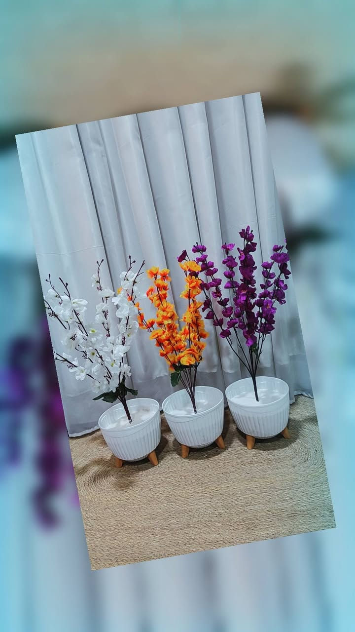 السلام عليكم 
عرض خاص سيت 3 اشجار ورد إرتفاع 65 سم 
سيت 3 اشجار  ب 25 الف فقط سارع بالحجز


**إذا كنت صاحب هذا الإعلان وتريد حذفه لأي سبب، رجاءا أرسل رسالة إلى الدعم الفني**