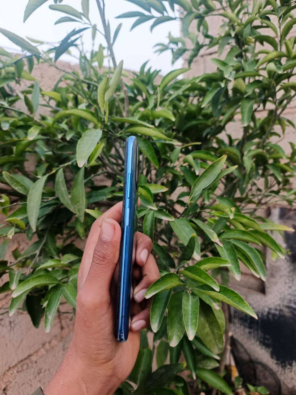 بوكو M5s ,
 ذاكره 128 رام 8 
 جهاز مابي عيب
مبدل شاشه جام كاميرا  مفطورمماثر على تصويريتبدل ب3
مواصفات قويه (يدعم ببجي 60 فريم) شحن تايبسي 
السعر (85) اتصل او واتساب (***********)
