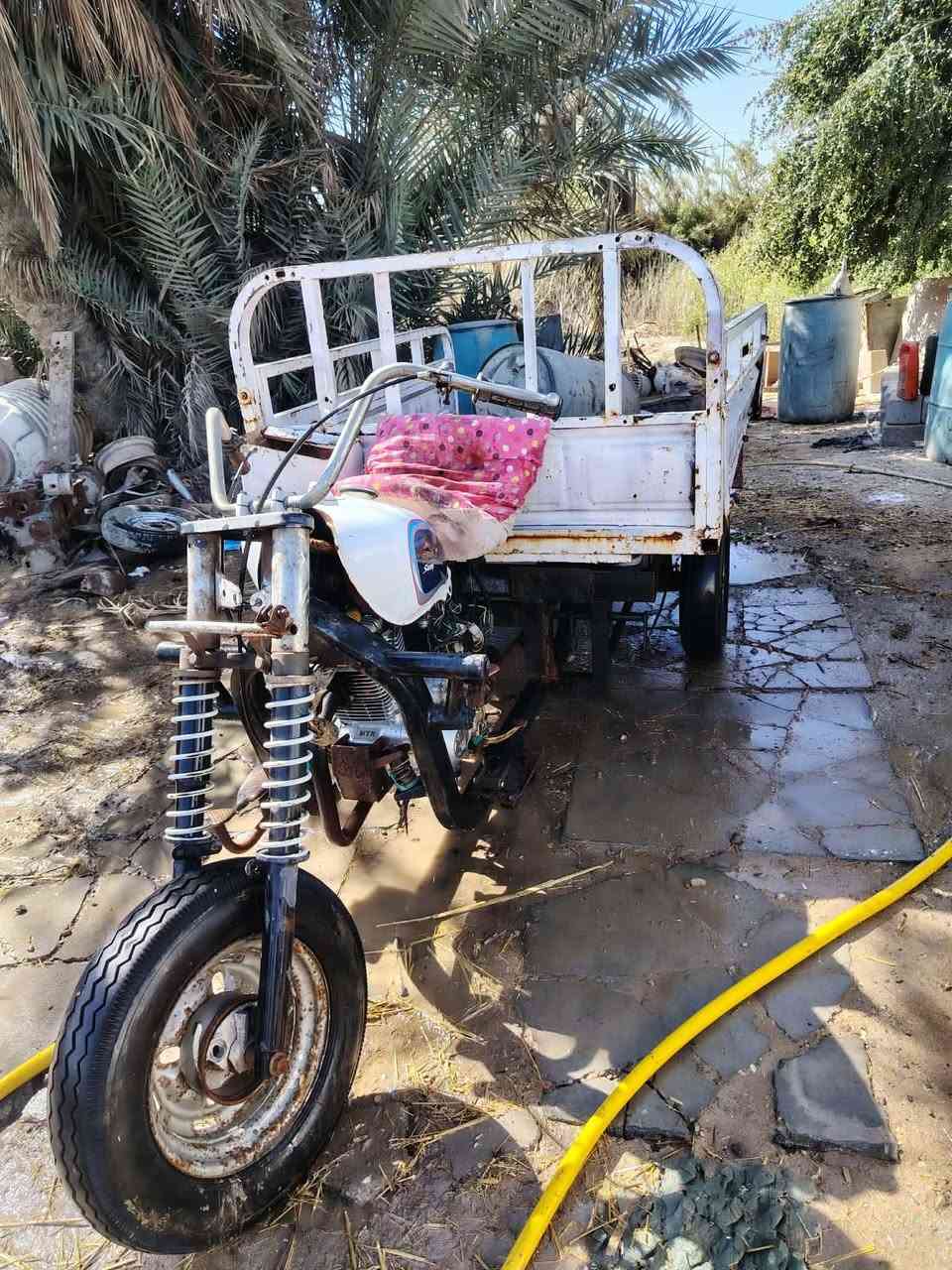 السلام عليكم
ستوته للبيع موديل 13 كلك مكفوله عشاير محرك مامفتوح مكاني شطره سعر خاص رقمي ‭٠٧٨٨ ٧٤٤ ٩٢٠١‬
