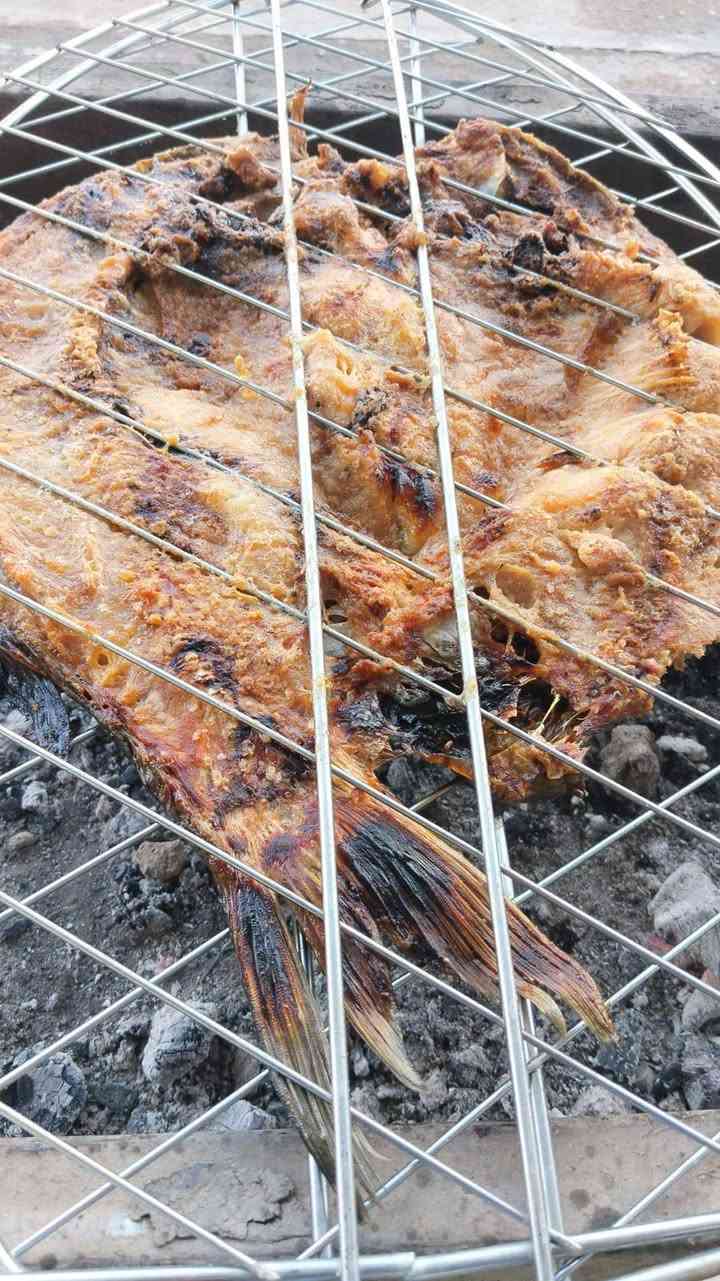 @اعلان
تعلن علوه الفرات المركزية فرع 2 

البيع ليوم الثلاثاء المصادف /2026/2/3

عن بيع باسعار الجملة 

الدجاج سعر الكيلوا 2250

السمك قفص شرط درجة اولى بدون شوي 5000

السمك القفص مشوي 6000

سمك طين 4500

سمك مشوي طين 6000

دجاج شوي القطعة. (10.000)

والشوي يكون حسب اختيار الزبون تنور او 
مسكوف مستعدون لتجهيز المناسبات والافراح وبسعار مناسبة 

العنوان الرمادي . شارع الملعب. مقابيل سوك سلاله

رقم الهاتف ‏‪0788 653 8680‬‏
 يوجد خدمة توصيل لكافة مناطق مدينة الرمادي
