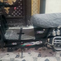 جبلي • ٢٤ • جديد