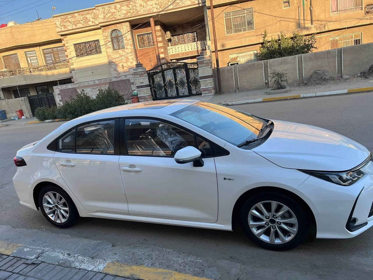 *********** بغداد, العراق
