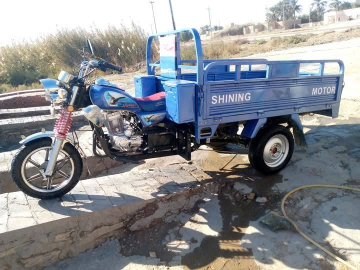 جمره فحل 2024 للبيع مكان رميثه 
‏‪***********‬‏
