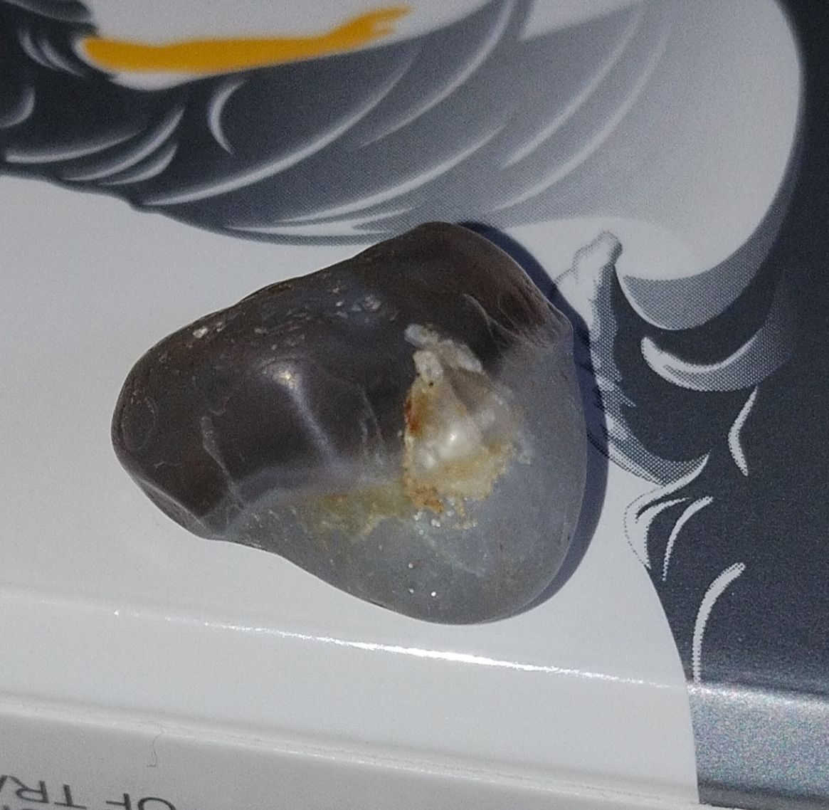 احجار كريمة وعقيق للبيع


**إذا كنت صاحب هذا الإعلان وتريد حذفه لأي سبب، رجاءا أرسل رسالة إلى الدعم الفني**