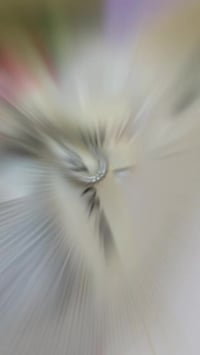 انواع لاحذيه الكعب النسائيه توفرت مجمع سبيكل بسعر مناسب؛ 🔥😍توصيل جميع ...