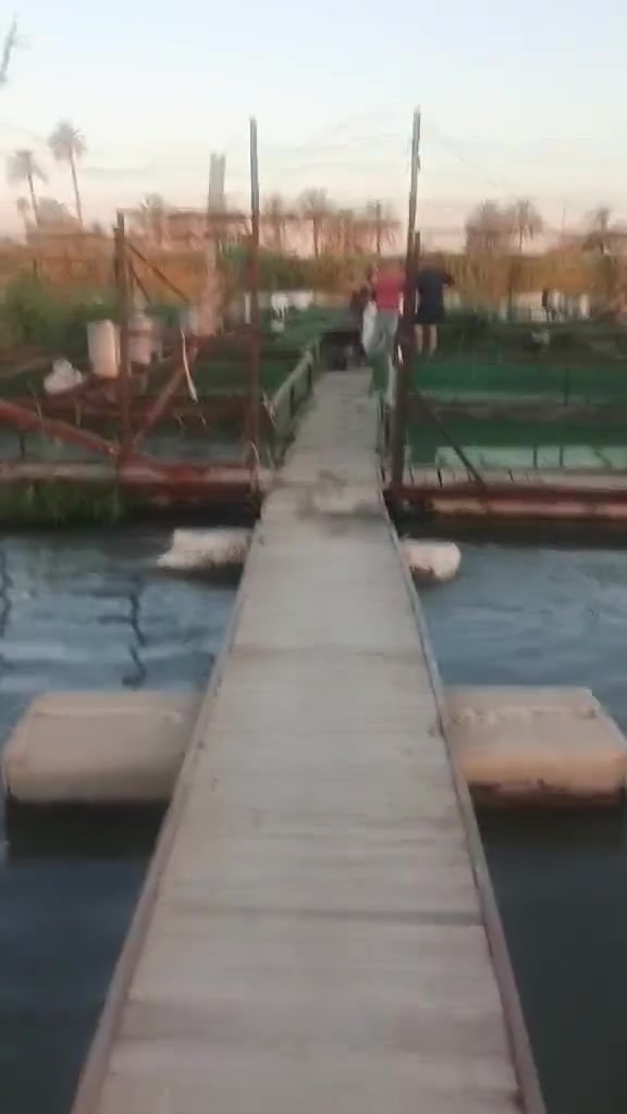 توظيح هام
إلى اهلي وناسي أهل العزيزية الكرام اكو ناس مغرظه همهم التقسيط هاي السمجه الي ابيعها وبسعر مناسب حتى الفقير ياكل ويكون اكو تراحم وتساهل
امانت الله ورسوله شوفو الفديو وحكم ارقه انواع السمك سمك المسيب مال قفص والسعر ابيعه ب ٤٥٠٠ فقط
واتعهد انو مابيها اي أصابه وشوف بعينك وحكم اخوكم وخادمكم اهلي وناس أهل العزيزية


**إذا كنت صاحب هذا الإعلان وتريد حذفه لأي سبب، رجاءا أرسل رسالة إلى الدعم الفني**