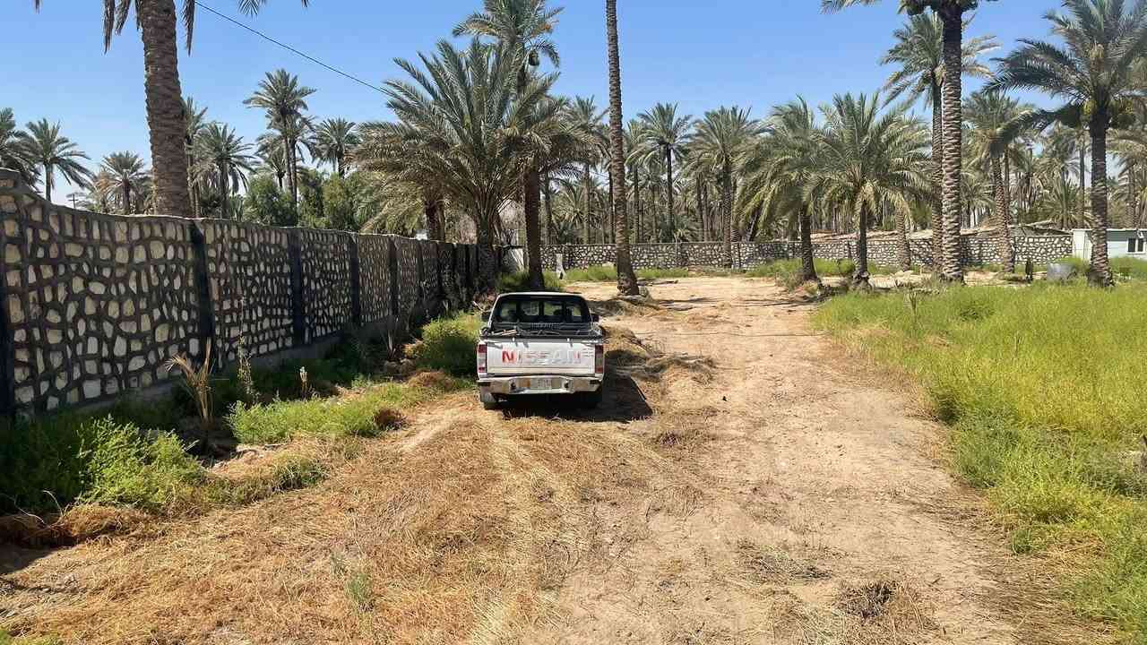 ‏للبيع دونم طابو 25 سند تحويل اسهم باسمك في كربلاء شارع ام ام البنين منطقه الزبيليه كافه الخدمات مدرسه. للمعلومات اتصال// الواجهه 30 متر ام  سيج حجر /*********** /***********
