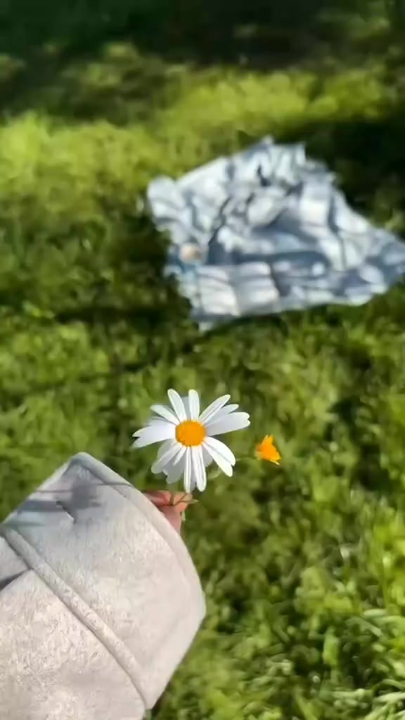 متسلق مرجان البوقي☘️#نباتات #نباتي


**إذا كنت صاحب هذا الإعلان وتريد حذفه لأي سبب، رجاءا أرسل رسالة إلى الدعم الفني**