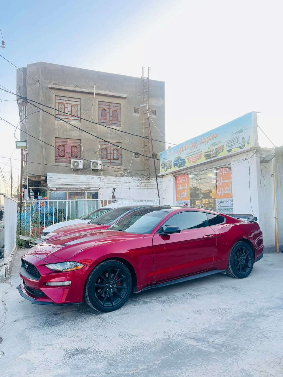السلام عليكم 
فورد موستنك 2023
دخول جديد فحص موقت 
مواصفات / بصمه / شاشه كبيره / ويل كل ١٩ / رادارات امامي وجانبي وخلفي / كشن كهرباء / انظمه قياده / حساسات خلفيه 
محرك اقتصادي ايكو بوست 
بدون ايرباك حادث جانبي 
ماشيه 18 الف جديده حيل 
العنوان //السماوه حي الحسين لاربع سايدات 
معرض // برج العرب التجاره السيارات
لاتصال //واتس ***********
***********
