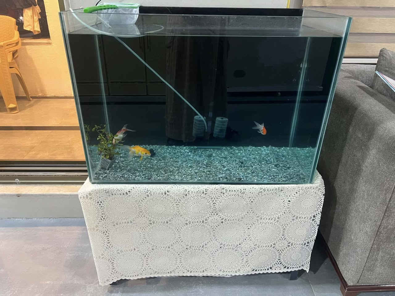 حوض اسماك للبيع قياس الحوض
60*80*40
السعر 50 الف


**إذا كنت صاحب هذا الإعلان وتريد حذفه لأي سبب، رجاءا أرسل رسالة إلى الدعم الفني**