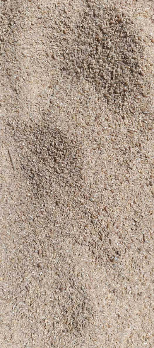 حنطه مجروشه من يرغب بل شراء الكميه مفتوحه شكد رايد حاضرين ***********
