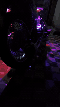 تايكر ٤ كير • موديل ٢٠٢٣ • اوراق اصولية