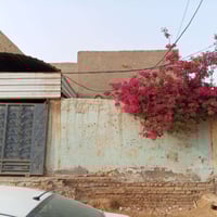 بيت للبيع مساحه 200 بناء كامل غرفتين وصالة ومطبخ وحمام وبراني وشارع تب...