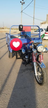 ستوته • باب أول • مكفولة