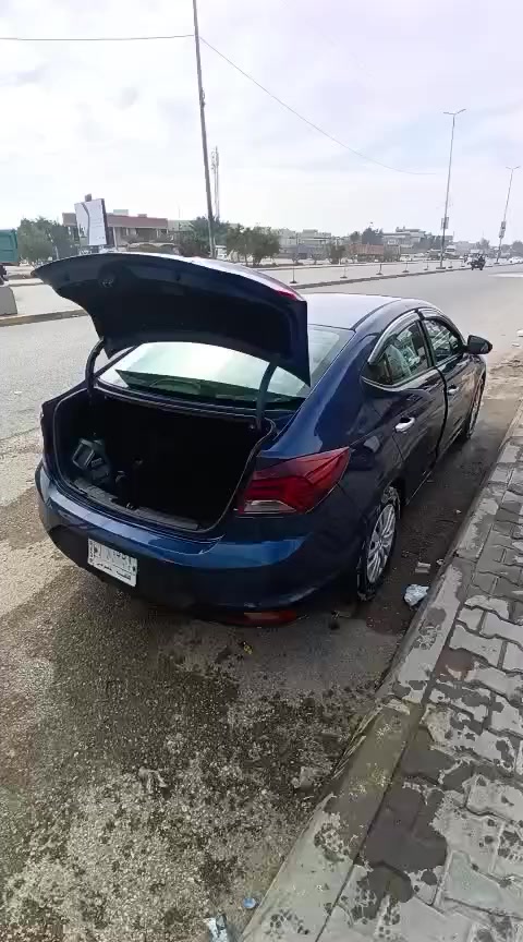 السلام عليكم للبيع النترا 2020 ورد امريكي معوقين بعد لها ثلاثه اشهر تصير حره راعيها موجود بيها خمس قطع ***********. السعر 120وبيه مجال
