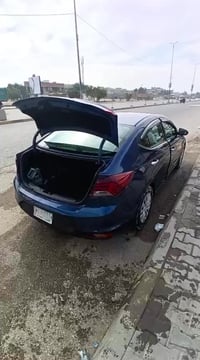 للبيع النترا 2020 ورد امريكي معوقين بعد لها ثلاثه اشهر تصير حره راعيها...