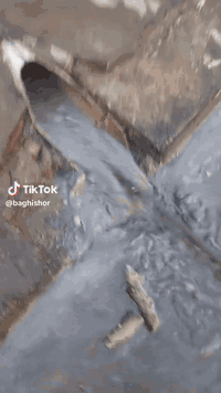 فتح مجاري في كركوك شد خلاطات وكاكات تئسيس بواري تئسيس المجاري تصليح المجاري    فتح كافة المجاري اي انسداد بالمجارياتصل ***********اني اجيك للبيت شرط يفتح اذا مايفتح ماخذ منك ولا دينار تصليح المجاري تبديل البواري التالفه عمل منهولات تبديل كاشي الحمام هاذ رقمي وبخدمتكم اي وقت مفتوح  وه ستاى بورى و كردنه وه ى مجارى و نه هيشتنى بونى ناخوشى مجارى و چاره سه رى هه موو كيشه يهكى مجارى و مه نهوطل  اماده ين بينه ماله كانتان له هه ر كويه كبن. تنكر سحب فتح مجاري في كركوك  منهولات تبديل كاشي الحمام هاذ رقمي وبخدمتكم اي وقت مفتوح  وه ستاى بورى و كردنه وه ى مجارى و نه هيشتنى بونى ناخوشى مجارى و چاره سه رى هه موو كيشه يهكى مجارى و مه نهول  اماده ين بينه ماله كانتان له هه ر كويه كبنفتح مجاري في كركوك شد خلاطات وكاكات تئسيس بواري تئسيس المجاري تصليح المجاري    فتح كافة المجاري اي انسداد بالمجارياتصل ***********اني اجيك للبيت شرط يفتح اذا مايفتح ماخذ منك ولا دينار تصليح المجاري تبديل البواري التالفه عمل منهولات تبديل كاشي الحمام هاذ رقمي وبخدمتكم اي وقت مفتوح  وه ستاى بورى و كردنه وه ى مجارى و نه هيشتنى بونى ناخوشى مجارى و چاره سه رى هه موو كيشه يهكى مجارى و مه نهوطل  اماده ين بينه ماله كانتان له هه ر كويه كبن. تنكر سحب فتح مجاري في كركوك  منهولات تبديل كاشي الحمام هاذ رقمي وبخدمتكم اي وقت مفتوح  وه ستاى بورى و كردنه وه ى مجارى و نه هيشتنى بونى ناخوشى مجارى و چاره سه رى هه موو كيشه يهكى مجارى و مه نهول  اماده ين بينه ماله كانتان له هه ر كويه كبن
