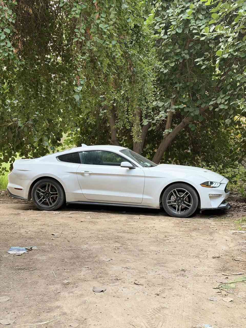 السلام عليكم
موستنك ايكو بوست 2023 
ماشيه ٢٢ الف بعدها جديده السياره
فول 1/1 بريميوم 
لون ابيض
كشنات جلد اسود
كشنات كهرباء
كشنات تبريد وتدفئه
شاشه كبيره ونظام كاربلي واندرويد اوتو 
خمس مودات قياده ( نورمال-سبورت بلس-تراك-دراك-سنو اند ويت )
٣ مودات ستيرن ( نورمال-سبورت-كومفورت )
دشبول ٧ الوان
كير ١٠ نمر
حساسات خلفيه
تشغيل عن بعد
مثبت سرعه 
رادار امامي 
رادارات جانبيه ونقطه عمياء
مكينه كير كفاله
رقم اربيل تحويل
مكان السياره بغداد
هذا رقم الشاصي
1FA6P8TH3P5104524
والسونار موجود
السعر ١٧٣ وبيها مجال
للتواصل 
واتساب ***********
اتصال ***********
