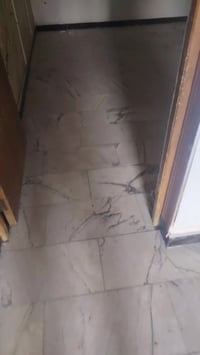 مشتمل أرضي • تشجير ٢٠٠م • مقابل قطر الندى