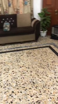 تخم للبيع سعره ١٥٠ وبيه مجال التخم موجود في بغداد للاستفسار الاتصال عل...