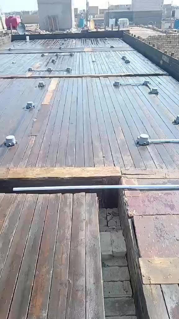 *********** الطوگي
