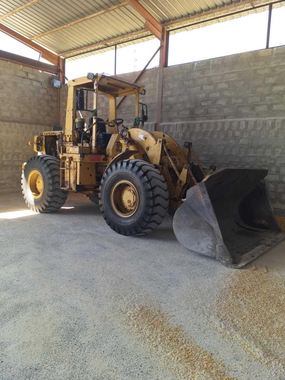 السلام عليكم شفل كتر بلر ناين ففتي موديل 82 مكينه بلاديه كير محرك اكسنات كلة عل بلاد تخم تاير جديد مكينه شرط كلهه عل بلاد مكاني واسط العزيزية رقمي ***********
