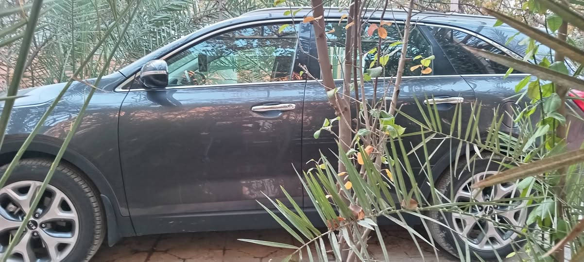 سورنتو موديل ١٦
٤ سلندر

رقم نجف انكليزي.

وبأسمي. مكفولة عدا البنيد

السيارة جاهزة ما محتاجه برغي تحويل ثاني يوم

السيارة جديدة جدا

السعر ١٦٤ وبيها مجال
***********
