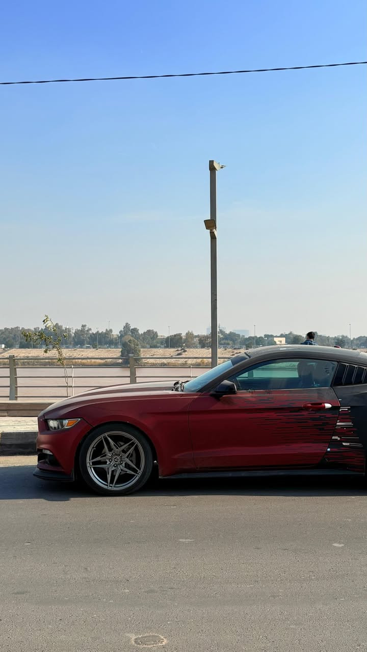 Mustang Eco Boost 2017 ♥️
للبيع فقط موستنك ايكو بوست 
الموديل : 2017
المحرك : V4 / 2300 توربو 
الكير : أوتوماتيك 
العداد :  136 الف
الون :  اصل ماروني مميز و مغلف ماروني مات طافي 
الحالة او نوع الضرر : ضرر بنيد جاملغ خلفي مصبوغ وجاملغ امامي بدون دواخل 💯

السياره مصروف عليه هوايه ادامه كامله من تايرات وياله وباتري ومنضومه احتراق كامله بلكات وفيت بام الخ #مكينه_كير_اكسل كفاله ✅
 
مواصفاتها والاضفات 

بصمه
كامره خلفية دواره 
شاشة اصليه تدعم ابل كار بلي سنك 2
كراسي جلد / كهرباء
تدفئة وتبريد كشنات 
الخ 
داخل فورجيت تغطيس 
دركة ( استيرن )  فورجيت 
شباك امامي RtR 
سوبلير خلفي GT500 شكل جديد
دفيوزر خلفي 
وياله روهانه 
اكزوز 3 انج مفرغ 
شوته وبرمجة

السعر : 140 ورقه وبيه مجال للشراي بسيط 
رقم سليمانيه الجديد بأسمي تحويل ثاني يوم 
الموقع : مكان السياره بغداد زيونه 📍
للتواصل الواتساب او اتصال صاحب سياره 👇🏻

اتصال او واتساب : ***********
اتصال او واتساب : ***********

رابط الواتساب المباشر للمراسله 👇🏻♻️🔰 
https://wa.me/9647717848210
