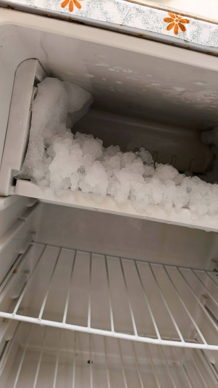 ثلاجة 5 قدم نظيفة السعر 50 الف مكاني حي السكر


**إذا كنت صاحب هذا الإعلان وتريد حذفه لأي سبب، رجاءا أرسل رسالة إلى الدعم الفني**