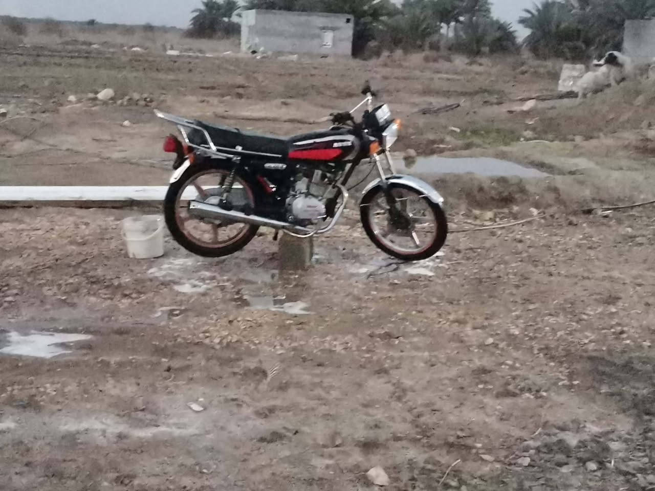 للبيع سفانه اوراق موديل 19 ما بيه نقص السعر 375وبيه مجال مكاني الحمزة الغربي خيكان ***********
