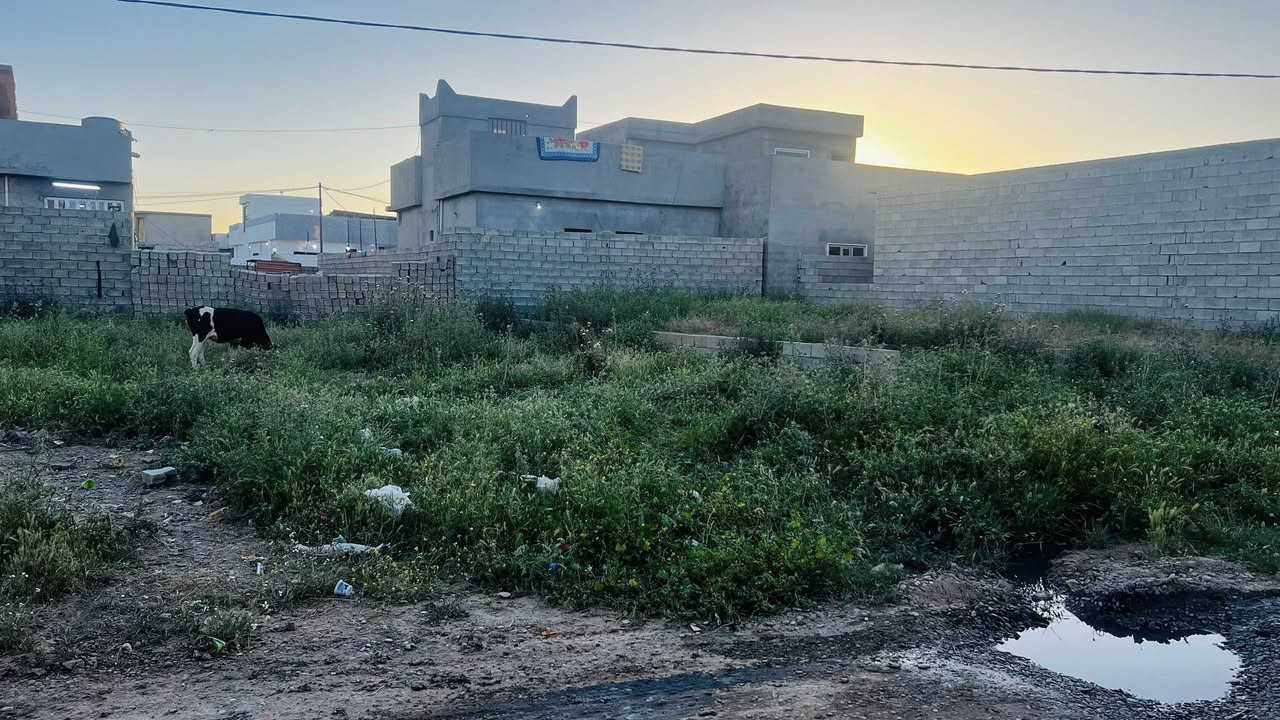 قطعه ارض للبيع
المنطقه /خلف الخضر  يم الجامع
المساحه ٢٣٠متر  يعني (العمق ٢٣واجه ١٠) 
الكاع محدوله    سعر ١٦ وبيه مجال شويه 
***********
