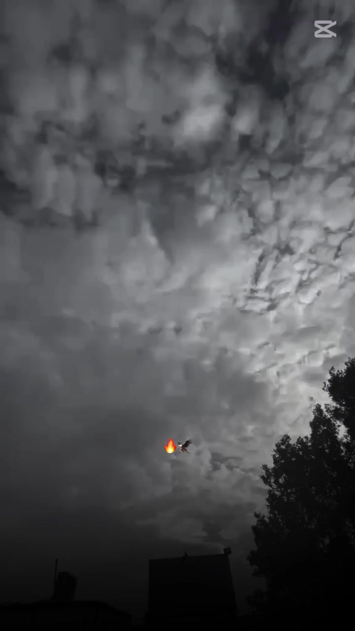 السلام عليكم كي فايف 2022 حره سياره جاهزه للبيع السعر خاص الرقم ***********
