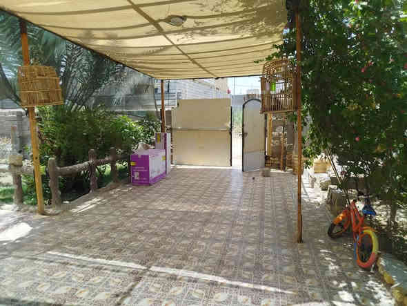 بيت للبيع زراعي سند 25 حي ميكانيك مساحه 1050متر بي ثلاث بيوات 
1-بي غرفتين وصاله ومطبخ براني معزول وحده
2-بي غرفة وصالة ومطبخ براني مشترك 
3-بي غرفة وصالة ومطبخ براني مشترك 
4-حديقه وطارمه كبيره
***********
