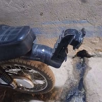 سبايدر • باكستاني • ستوته