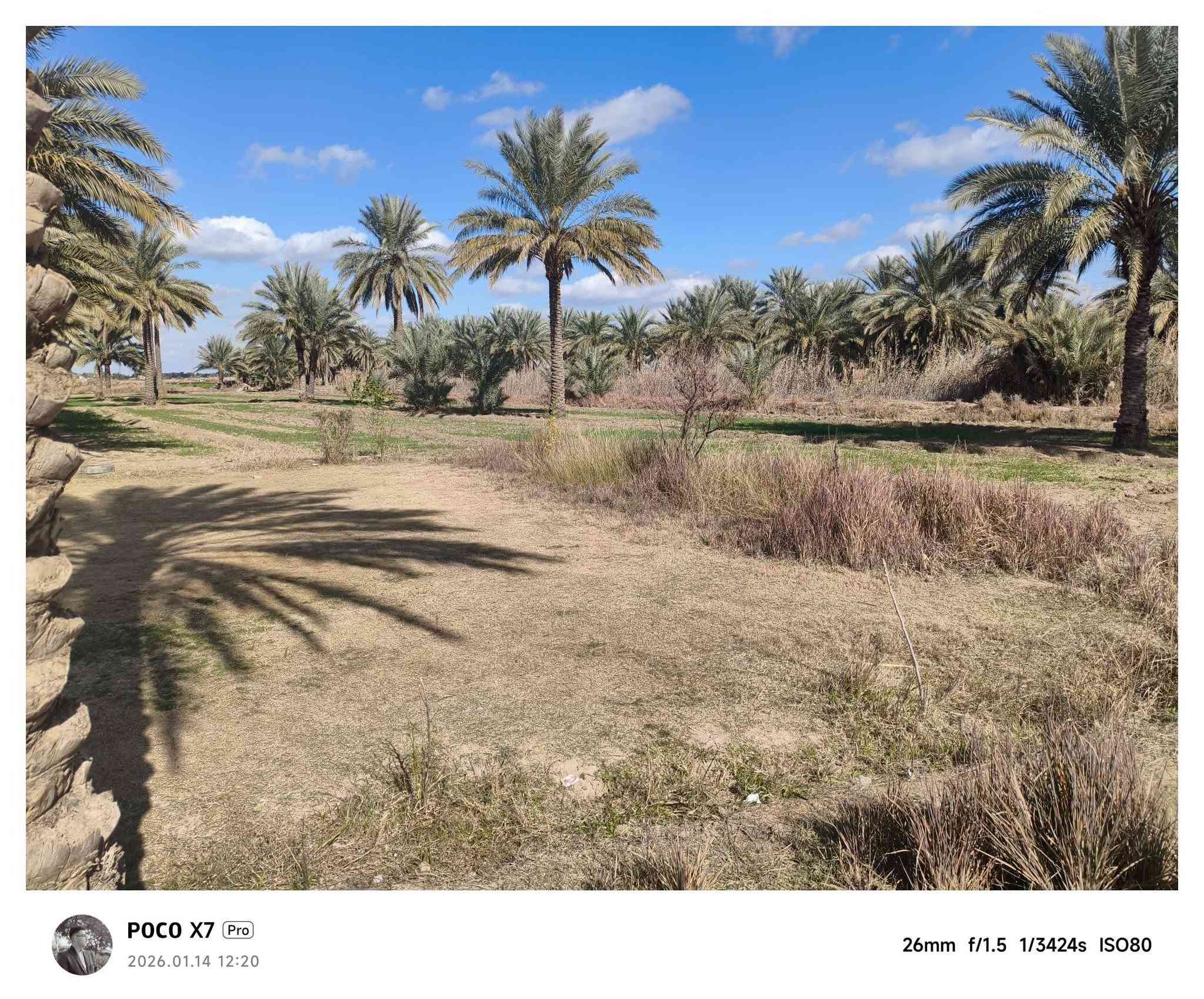 سلام عليكم
مزرعة البيع المساحة 4دونم مع بيتين +بتلو

صحيات خارجية استقبال خارجي
العنوان بابل مشروع المسيب الطاهريه 

وتبعد عن شارع حله بغداد 400متر

الاستفسار للاتصال ع لارقام التالية

***********

***********
