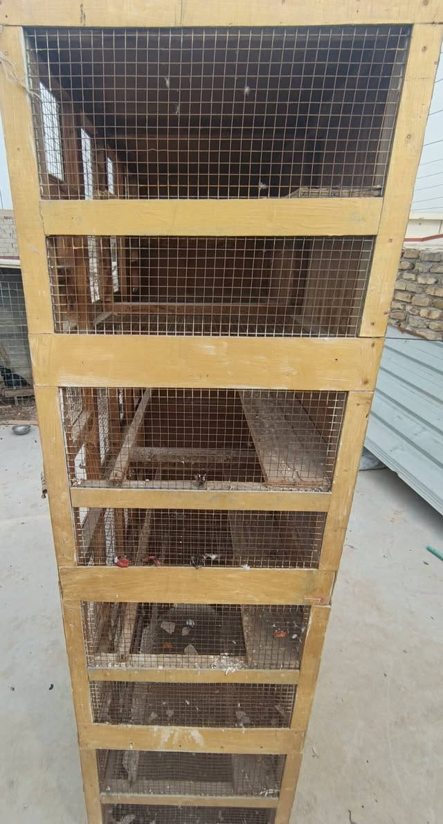 السلام عليكم قفص اربع خانات للبيع السعر 110 والثاني سعره 40


**إذا كنت صاحب هذا الإعلان وتريد حذفه لأي سبب، رجاءا أرسل رسالة إلى الدعم الفني**