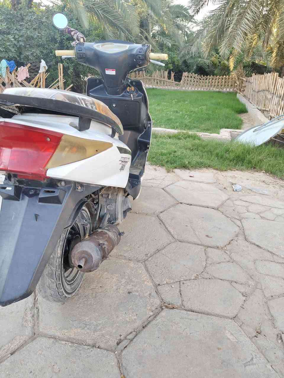 دراجه سكنس موديل 2021 دراجه صيني محرك ياباني محور كامله مكمله سلف لايتات كامله دبل شاره (السعر خاص) 
رقم الهاتف ***********
