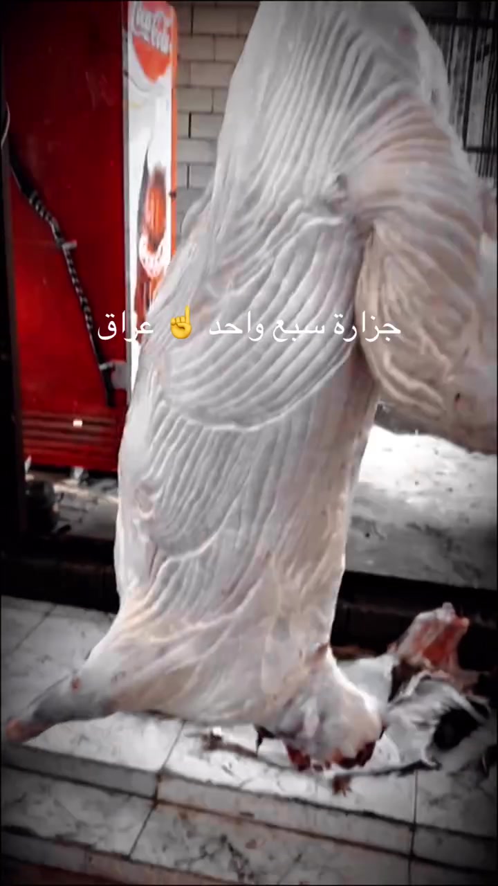 جزاره ومشويات سبع


**إذا كنت صاحب هذا الإعلان وتريد حذفه لأي سبب، رجاءا أرسل رسالة إلى الدعم الفني**