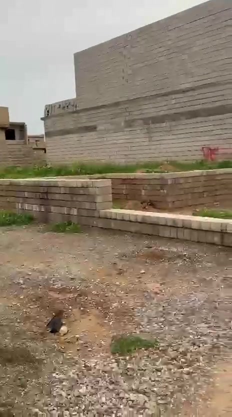 قطعة للبيع 250 متر بيها أساس مدفون خريطة حلوه
زراعي ورا سيطرة السايلو تبعد عن سايدين 40 متر
تنزل من السايدين بداية الفرع 4 قطعه راهمه السعر 21 وبي مجال الاستفسار ***********

