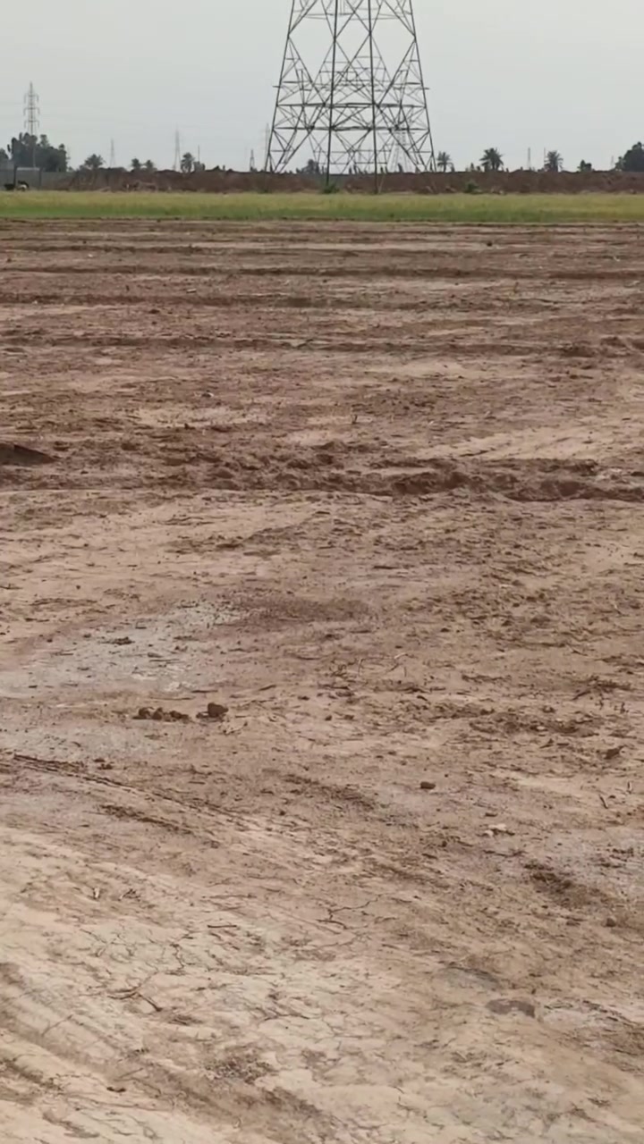 السلام عليكم عشر دوانم للبيع بالكرغوليه يبعدن عن الشارع العام تقريبا كيلوين عاابر فوكاهن الدوانم ضغط العقد مالهن 117 سعر الدونم 12 مليون الاتصال على الرقم***********
