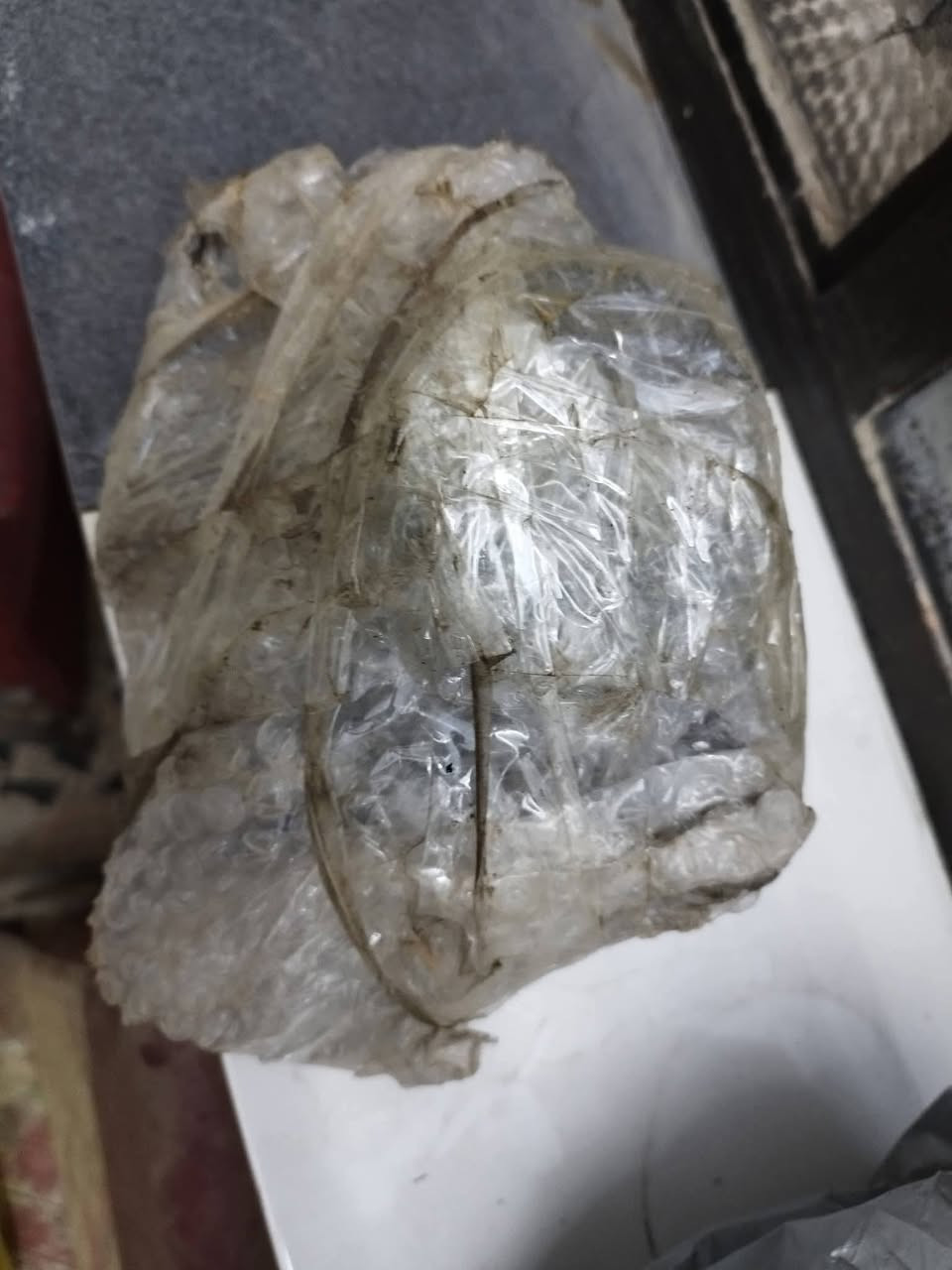 ABs
اصلي حاوبه ب65الف


**إذا كنت صاحب هذا الإعلان وتريد حذفه لأي سبب، رجاءا أرسل رسالة إلى الدعم الفني**