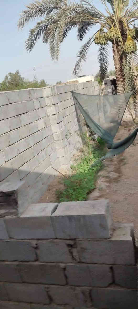 🟥 قطعة أرض للبيع – البصرة / أبي الخصيب 🟥
المساحة 530متر
الواجهة 25متر – النزال 20ونس
نوع العقار وقف سني أصولي

🌴 مزروعة نخيل برحي وبريم وأم دهن وأنواع مختلفة
🌲 سدار ونباتات زينة 🌺🌻🌷🌾🥀

🧱 مسيجة بلوك محكمة + باب سلايت
🛣️ شارع 7متر

📍 العنوان: أبي الخصيب / جيكور / شارع الميناء
✅ جميع الخدمات متوفرة (ماء، كهرباء، مدارس، جوامع)
قريب من ذهب أبو الخصيب القديمة

💰 السعر 38مليون وبيه مجال
📞 للاستفسار اتصال أو واتساب
***********
