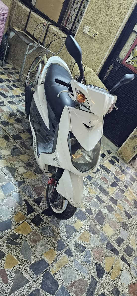 دراجه سكنس فحل كله بلاديه مكفوله كفاله عامه سعر ٧٥٠ الف بغداد ***********
