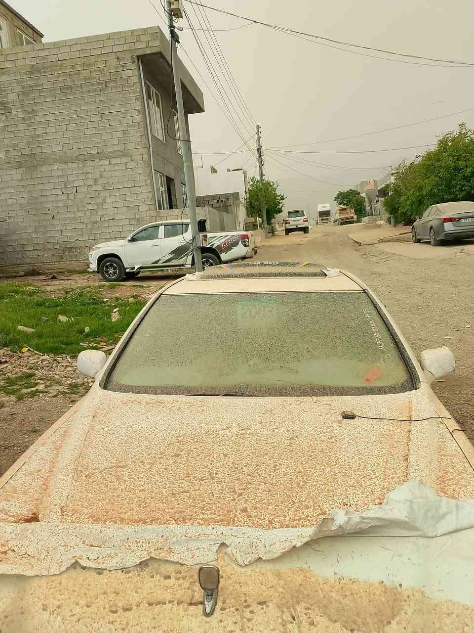سەرتا بەناوی خوا
مەلیکە بڕاوە 
فول فول بڕاوە 
2004
بێ سڵاید
D4گەورەیە
نەجەفە
نەجمەیە
کریستاڵ ناو زەرد
کامل سپۆرت
ڕۆنی گێڕم مەکینە تازەیە

کۆد
کۆد
 شوێن سلێمانی مشتەری تێل کە
***********0
