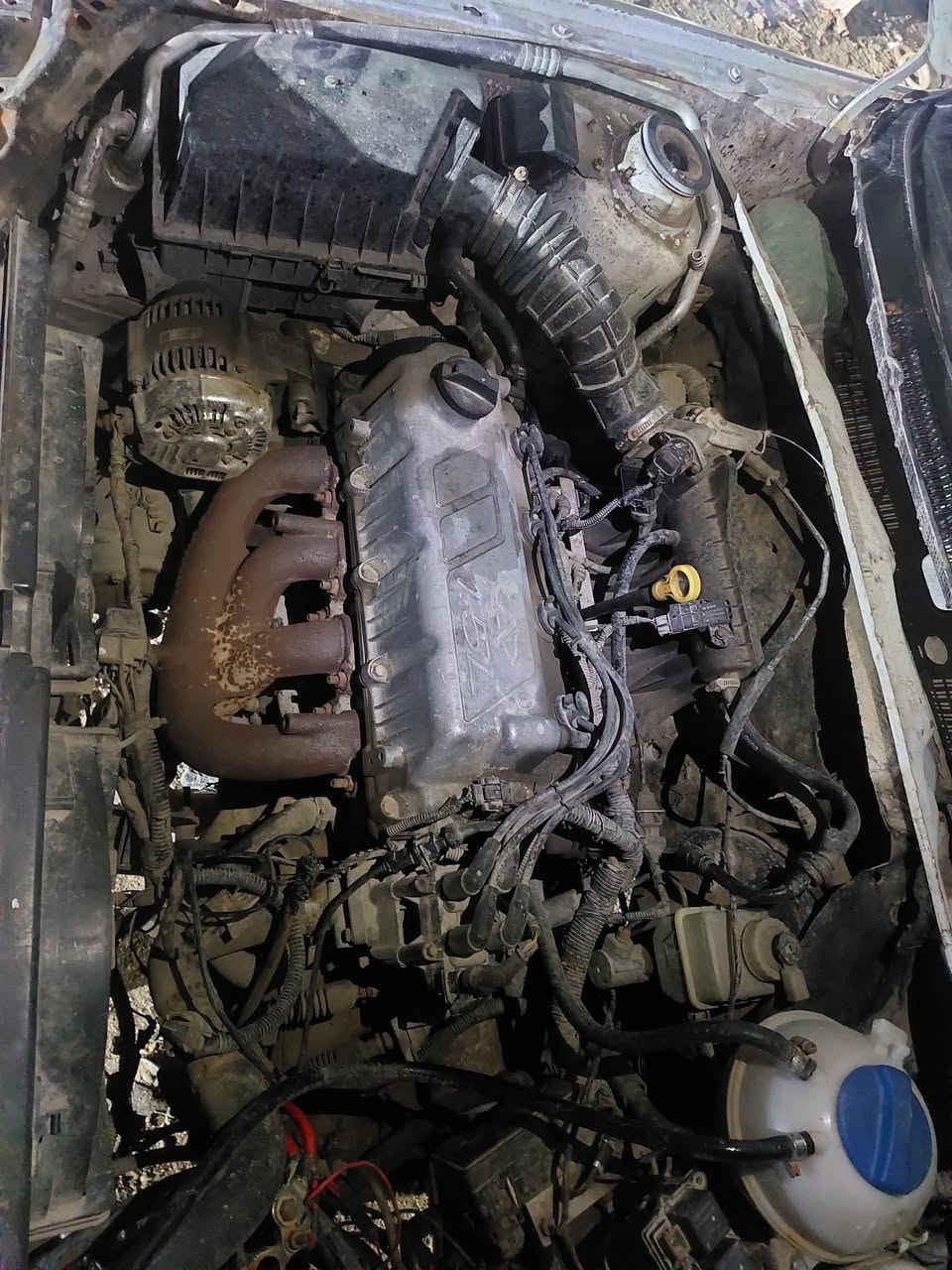 تفصيخ شيري كوين العنوان بابل مشروع المسيب اتصال فقط ***********  ***********
