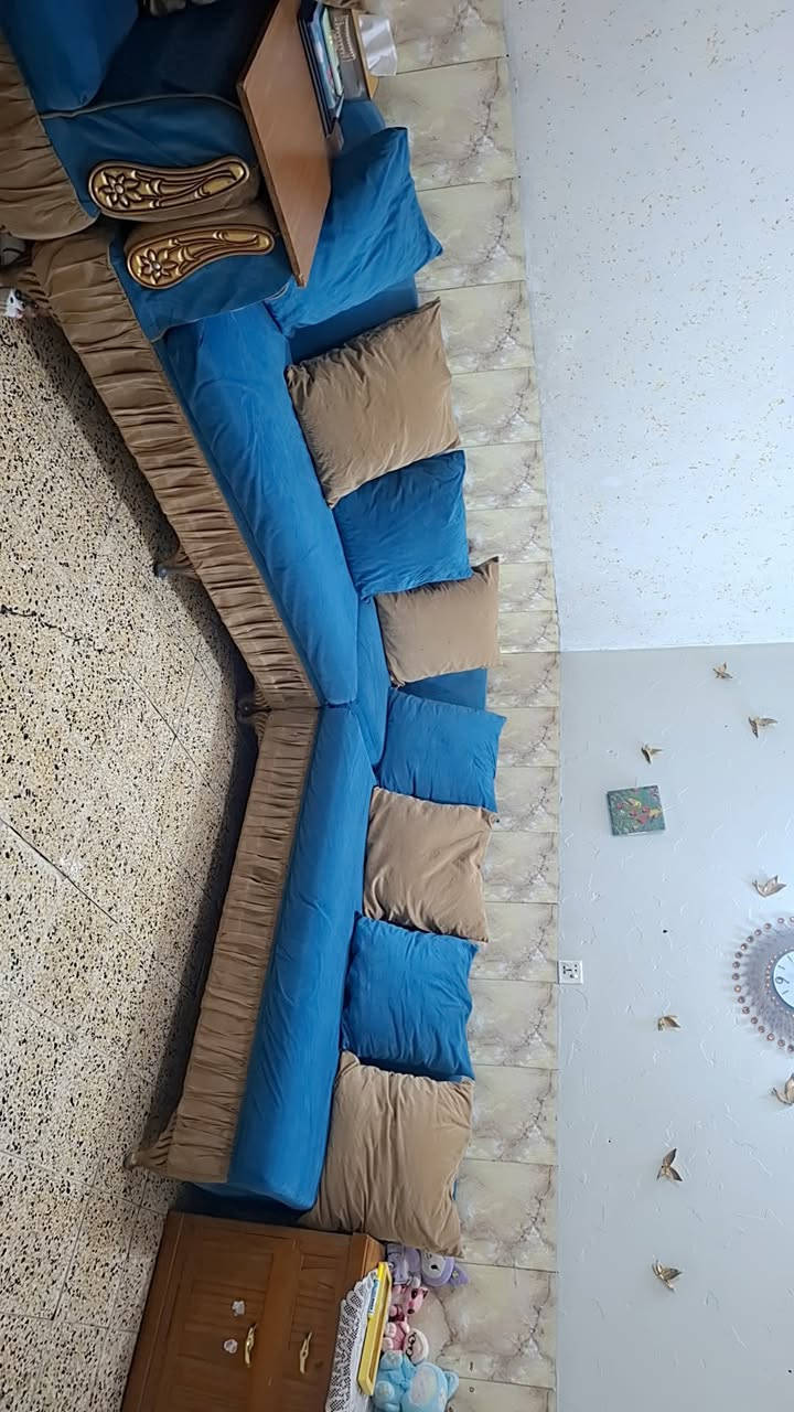ديوان عشر مقاعد مع البردات ب٢٥٠ مكاني الشعب شارع الصحة


**إذا كنت صاحب هذا الإعلان وتريد حذفه لأي سبب، رجاءا أرسل رسالة إلى الدعم الفني**