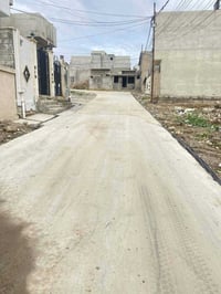 قوسيات حي الزيتون • ١٥٠م • سند زراعي ٢٥