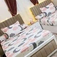 عرض يوم واحد • تلبيسة ام لاستيك • مخدة نفر