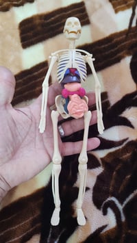 ناصريه مركز