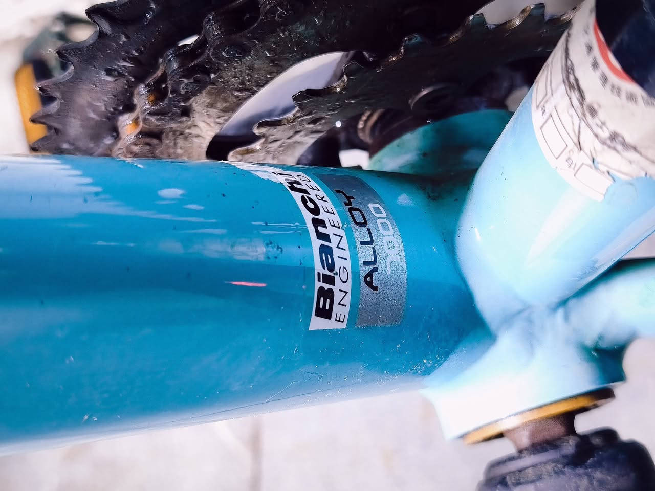 بيانكي (Bianchi) إيطالي أصلي 🇮🇹
للراغبين بالتميز، دراجة Bianchi إيطالية المنشأ، نظيفة جداً وجاهزة للترفيه والترحال.

المواصفات:

الإطار (Frame): ألمنيوم خفيف جداً، قياس 50.

التواير (Tires): حجم 28 (عرض 28/700)، وتتحمل شد لحد 35.

نظام السرعات: شيمانو (Shimano) بالكامل، 3×8 نمر (سحب ودفع).

الملحقات: سباية ترحال ألمنيوم، قفل أمان، لايت أمامي وإشارة خلفية، مطارة ماء مع حاملها، وسرج طبي مريح.

الحالة: الدراجة نظيفة جداً (مختمة بيانكي) مع بعض التكحيلات البسيطة في المصبوغ كما موضح بالصور.

السعر: 450 ألف دينار 

العنوان: بغداد - سريع الدورة - مقابل شارع 60.

للتواصل والاستفسار، يرجى المراسلة على الخاص.

***********‬‏ واتساب
